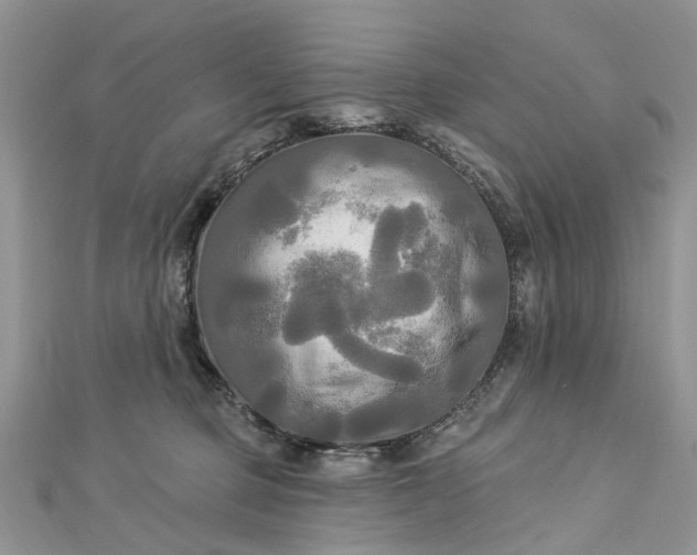 X0000112820373200909041519