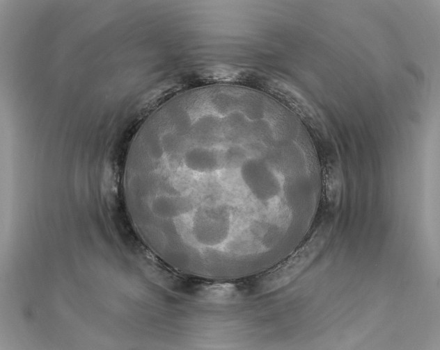 X0000112820374200909041519