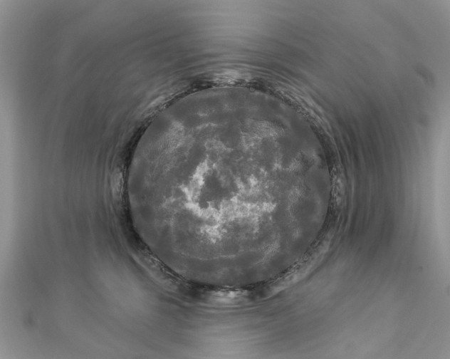 X0000112820375200909041519