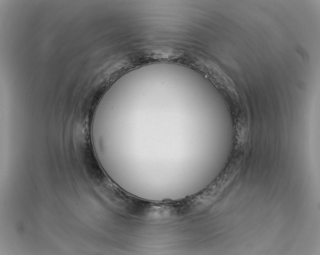 X0000112820376200909041520