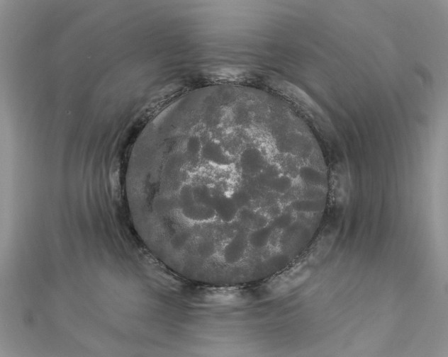 X0000112820377200909041520