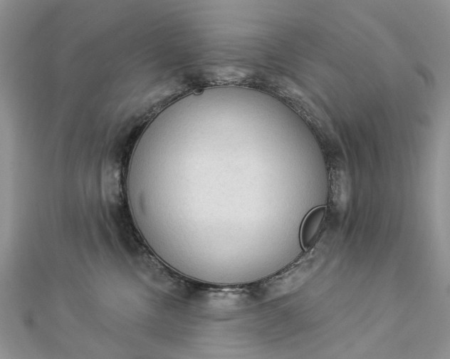 X0000112820378200909041520