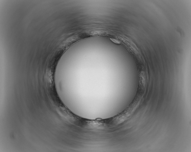 X0000112820380200909041520