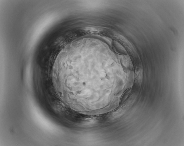 X0000112820381200909041520