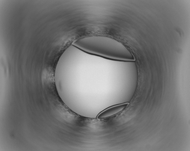 X0000112820384200909041520