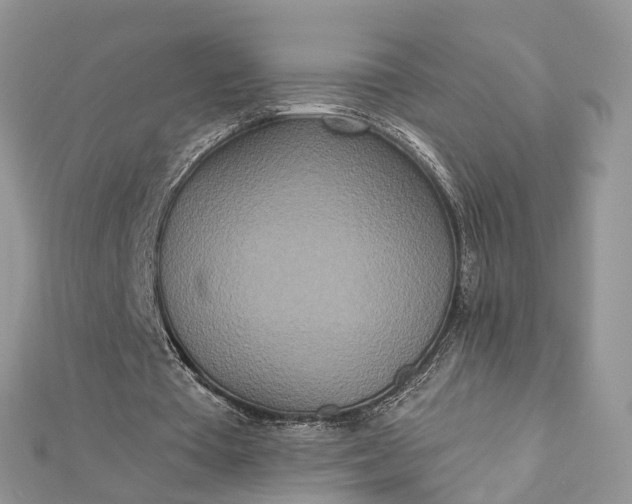 X0000112820385200909041519