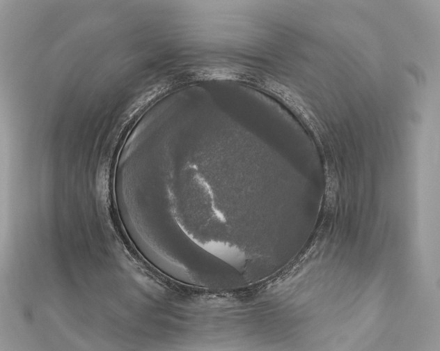 X0000112820386200909041519