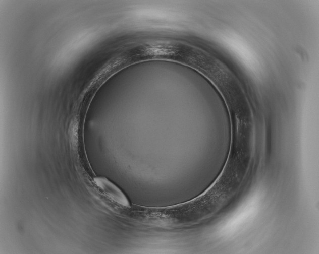 X0000112820387200909041519