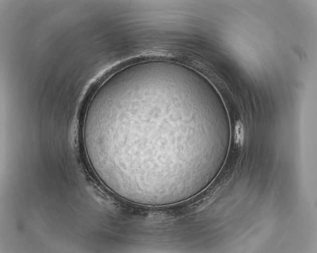 X0000112820388200909041519