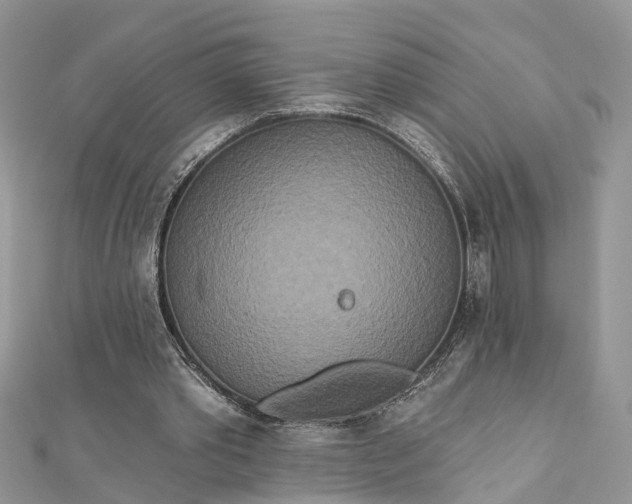 X0000112820389200909041519