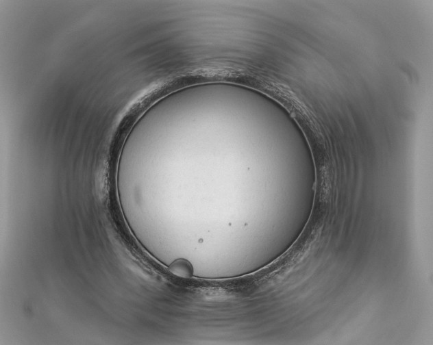 X0000112820392200909041519