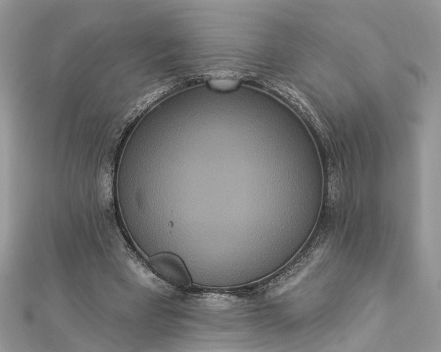 X0000112820393200909041519