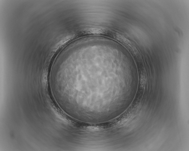 X0000112820394200909041519