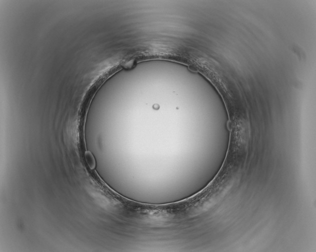 X0000112820395200909041519