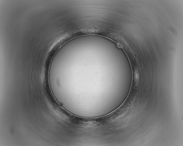 X0000112820396200909041519