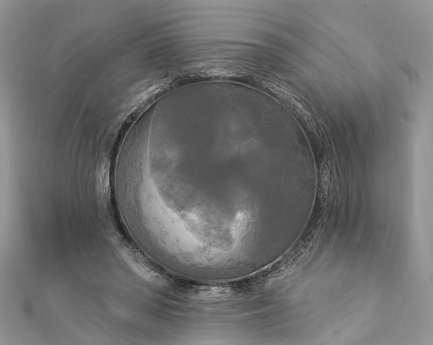 X0000112820398200909041519