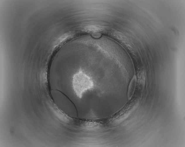 X0000112820399200909041519