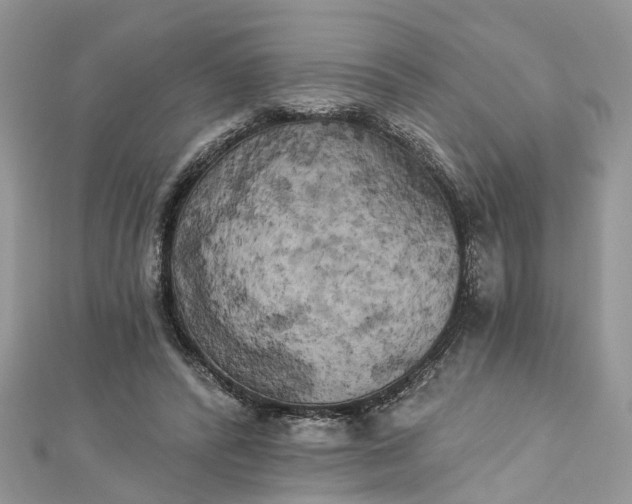 X0000112820400200909041519