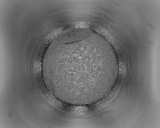 X0000112820401200909041519