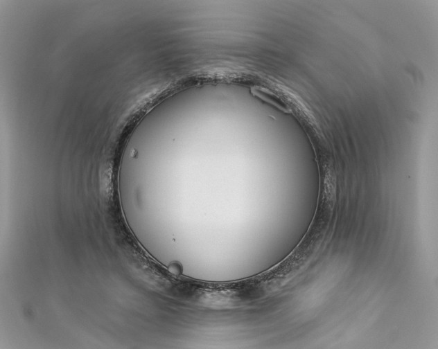 X0000112820403200909041519