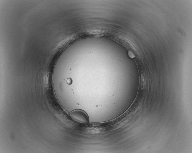 X0000112820404200909041519