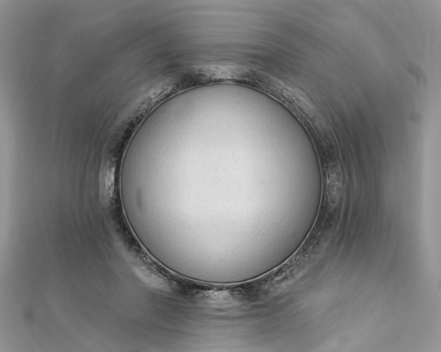 X0000112820406200909041519