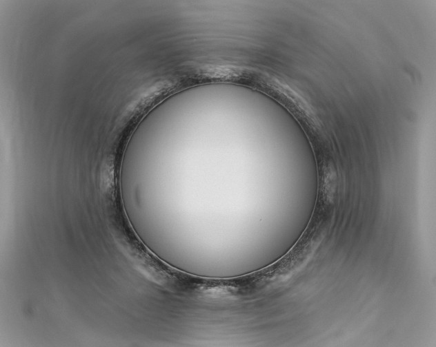 X0000112820407200909041519