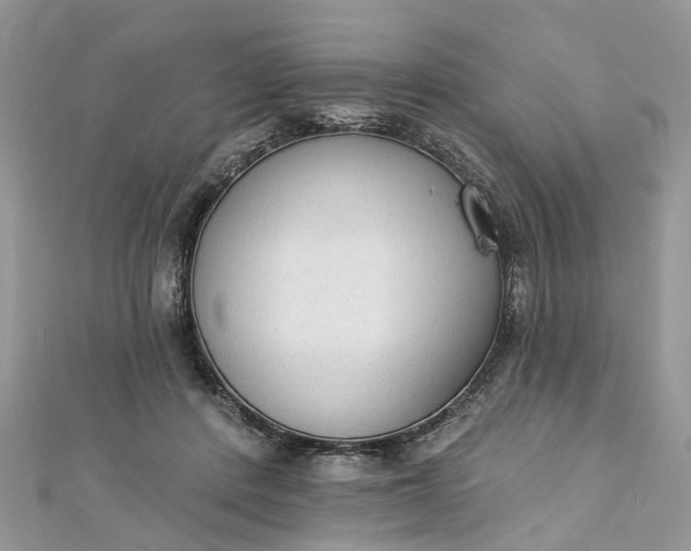 X0000112820408200909041519