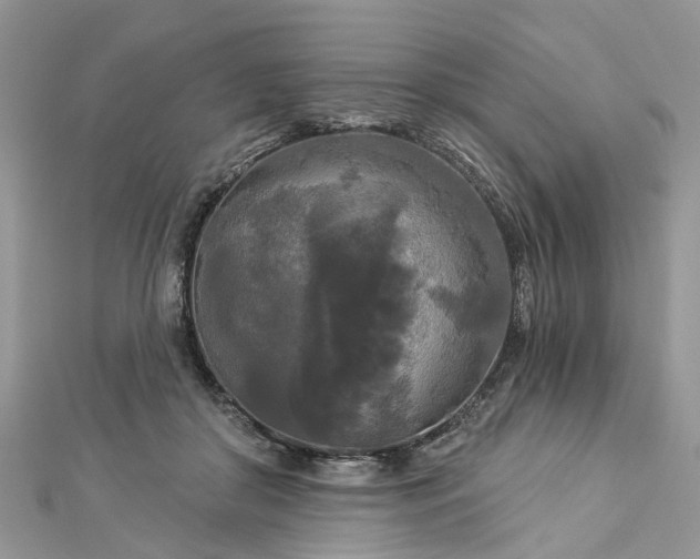 X0000112820410200909041519