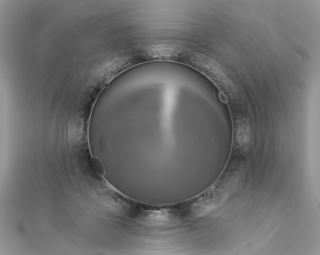 X0000112820411200909041519