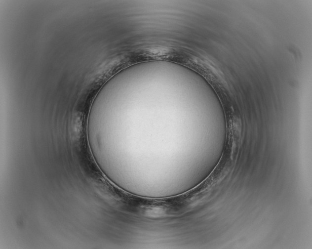 X0000112820412200909041519