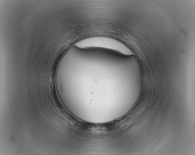 X0000112820415200909041519