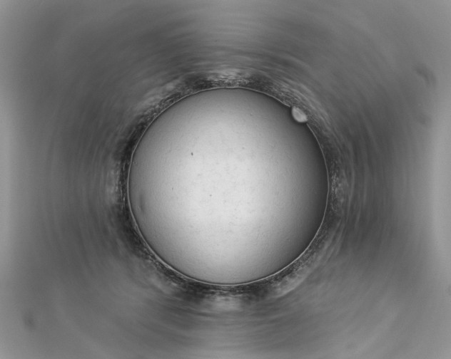 X0000112820416200909041519