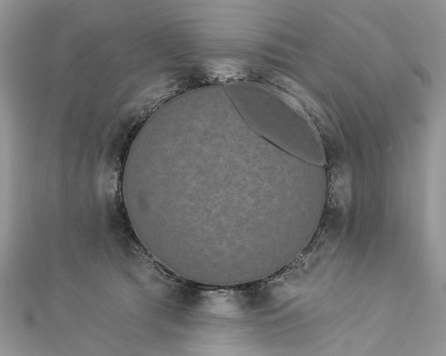 X0000112820417200909041519