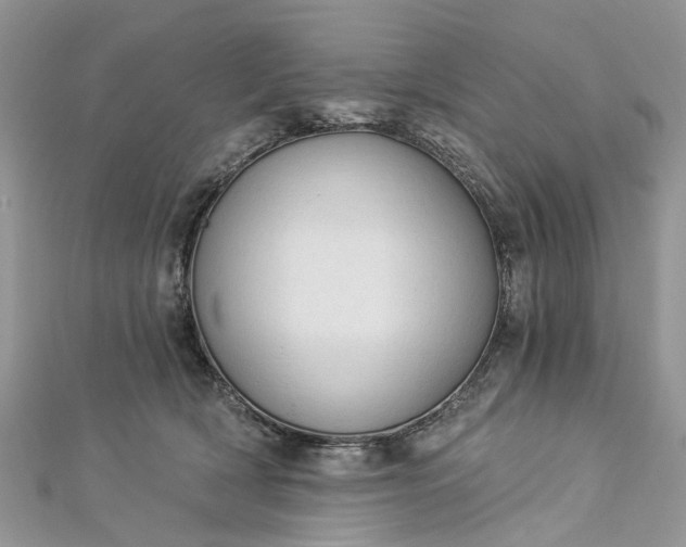 X0000112820418200909041519