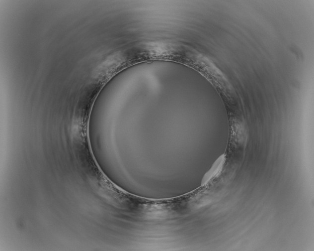 X0000112820419200909041519