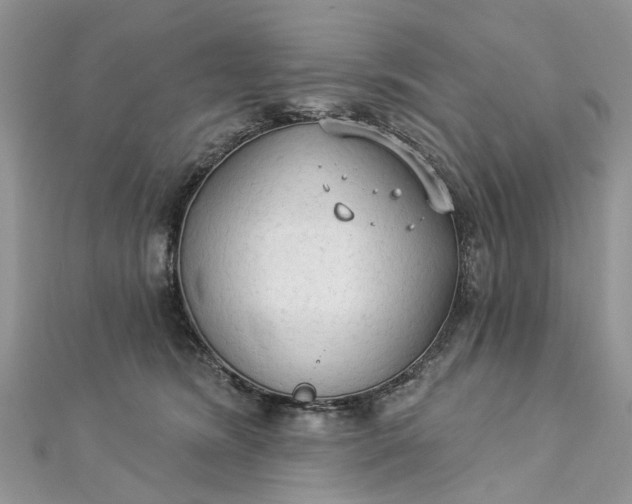 X0000112820420200909041519