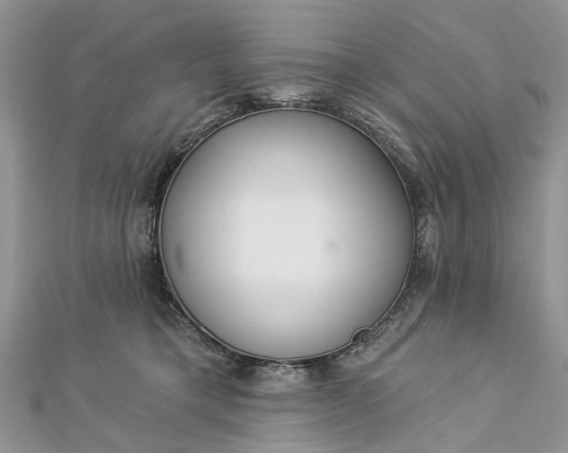 X0000112820421200909041519