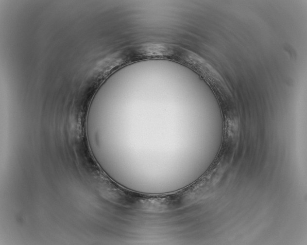 X0000112820422200909041519