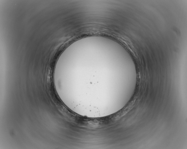 X0000112820423200909041519