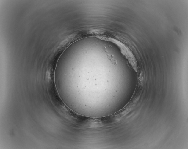 X0000112820424200909041518