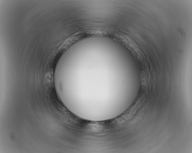 X0000112820425200909041518