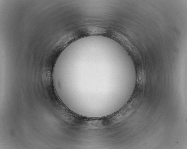 X0000112820426200909041518