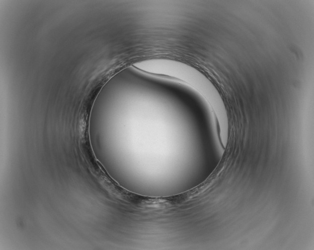 X0000112820427200909041518