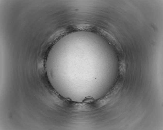 X0000112820428200909041518