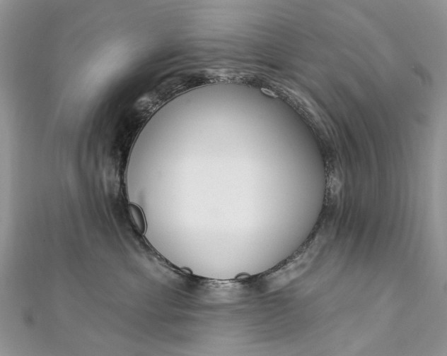 X0000112820429200909041518