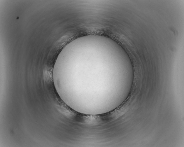 X0000112820432200909041518