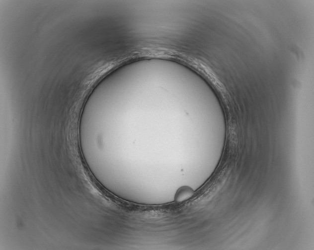 X0000112820433200909041518