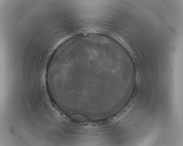 X0000112820434200909041518