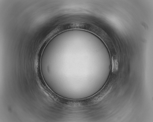 X0000112820435200909041518